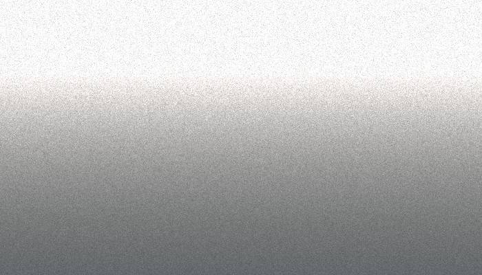 Ford – SS – SPARKLE SILVER