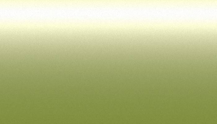 BMW – 835 – CITRUS
