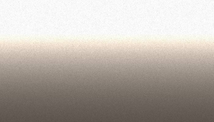 Nissan – 449 – BEIGE