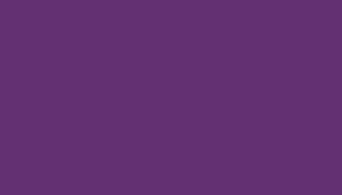 Peugeot – KPF – VIOLET RETEVISION