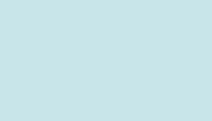 Mitsubishi – T61 – PALE BLUE