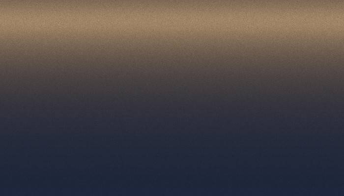 Rover – MGRC236 – MONOGRAM MOODY BLUE