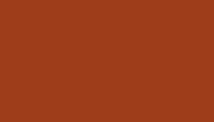 Opel – 50A – TERRAKOTTAROT/TERRA COTTA RED