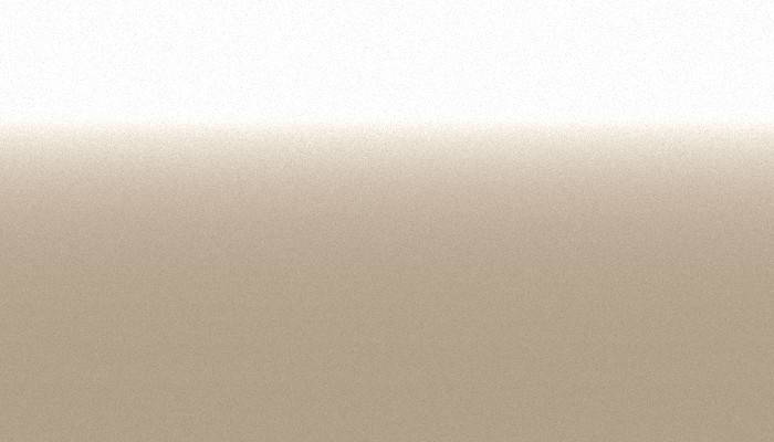Toyota – 4S8 – BEIGE