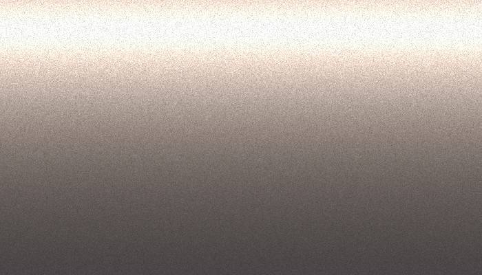 Nissan – C41 – GREYISH BROWN