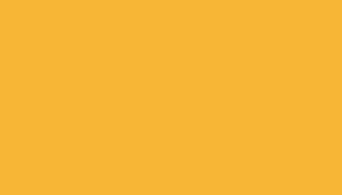 SEAT – LS1A – AMARILLO CRONO
