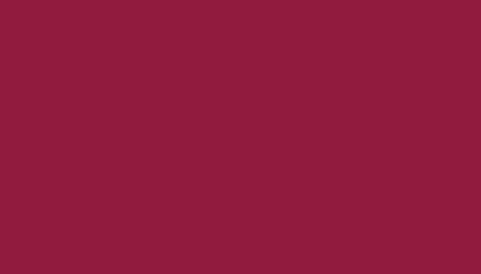 Opel – 876 – BERRY RED
