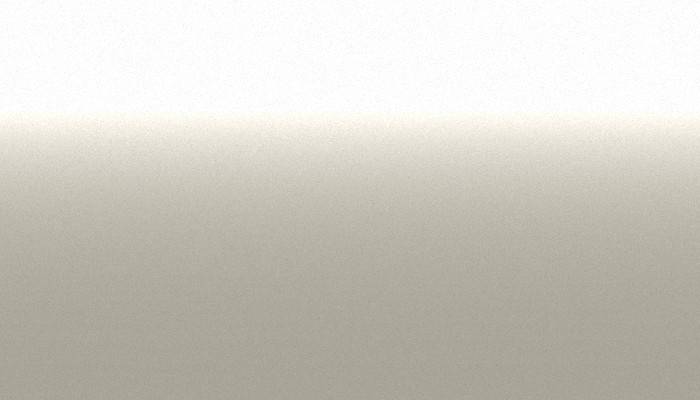Suzuki – 13U – SILVER-WHITE