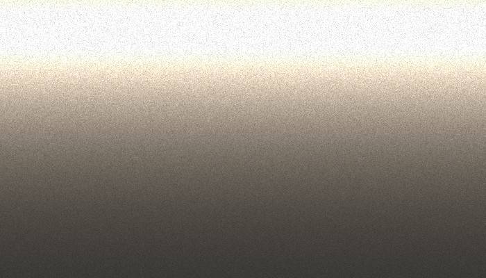 BMW – WA53 – PLATINBRONZE