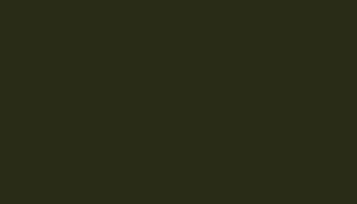 VW Volkswagen – LL6R – DEEP BRONZE GREEN