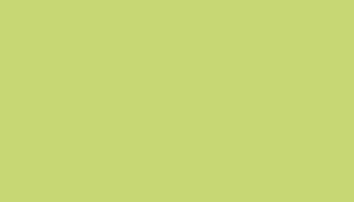 VW Volkswagen –  – AMARILLO YELLOW