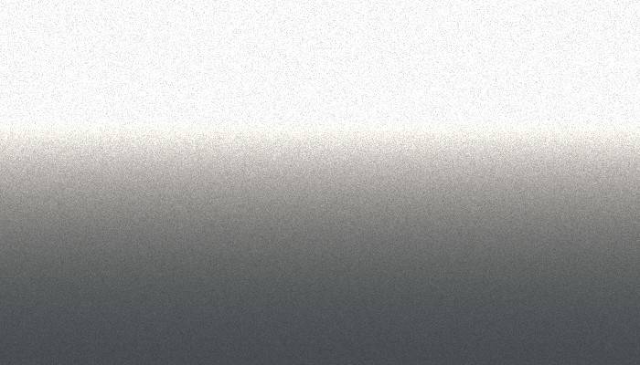 VW Volkswagen –  – ROYAL SILVER