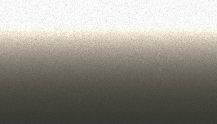 Nissan – ZT1 – GREY BEIGE