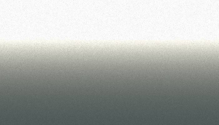 Nissan – PSE – PLATINUM SILVER