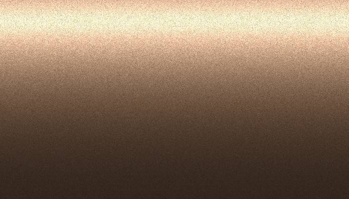 Volvo – 494 – TERRA BRONZE