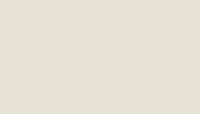 VW Volkswagen – LXK0 – STONE WHITE