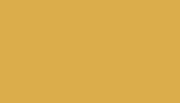 VW Volkswagen – LD1E – SAVANNA YELLOW
