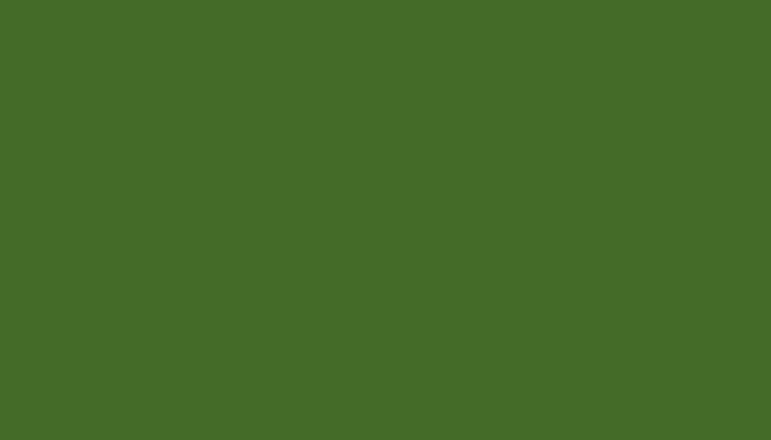 Fiat – 339B – VERDE 6010