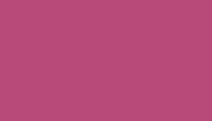 VW Volkswagen –  – BARBIE PINK
