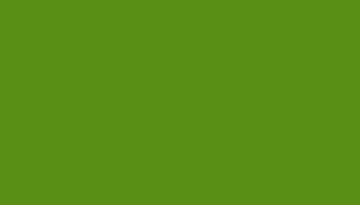Aston Martin – AST5095D – KERMIT GREEN