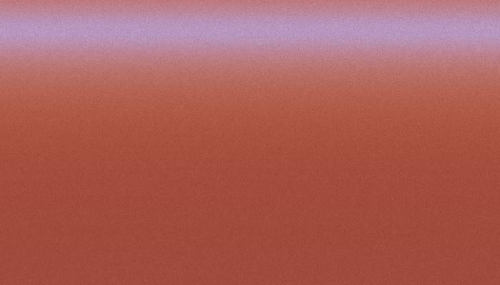 Nissan – ZPB – CORAL