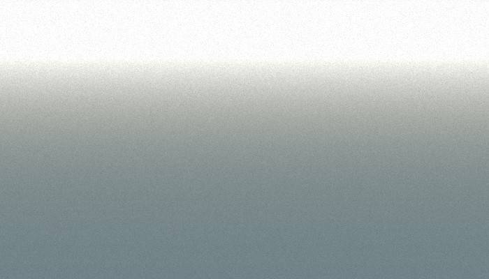 BMW – N48 – POLAR
