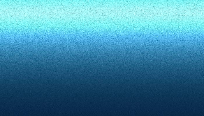 Nissan – RAV – BLUE