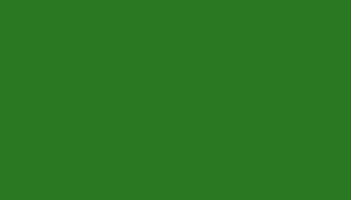 Opel – 866 – FROG GREEN
