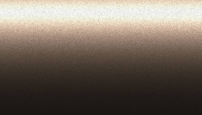 BMW – WW06 – FROZEN BRONZE