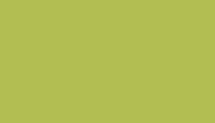 Leyland – CC651GREE – CA310 GROEN
