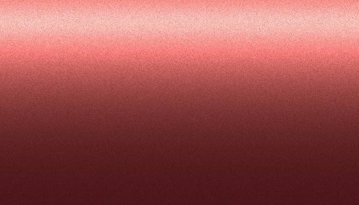Nissan – ZSU – MOCO BERRY