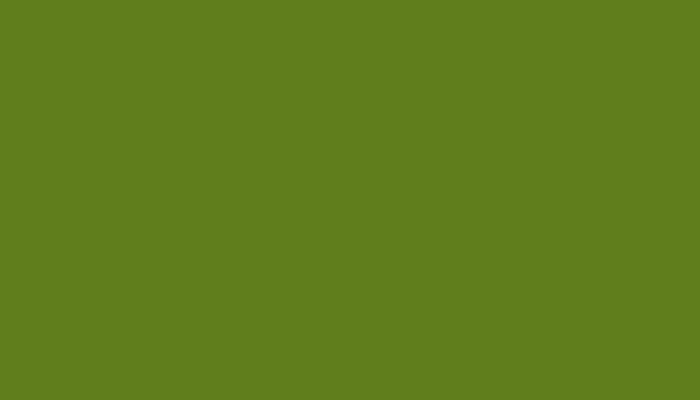 Leyland – CC696GREE – WAITROSE 2002