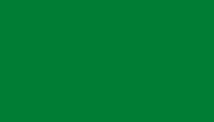 Leyland – CC982GREE – PMS 369 GROEN