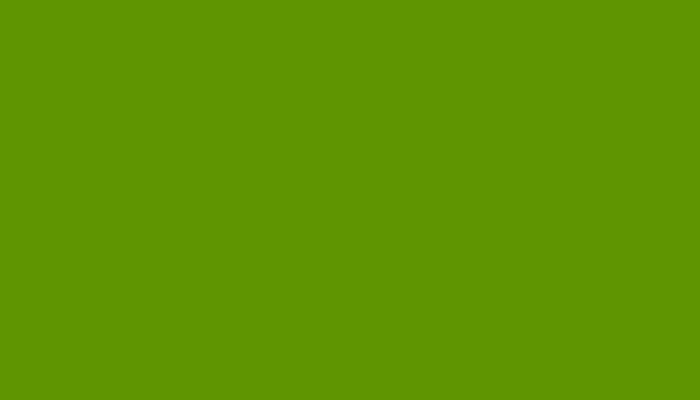 Leyland – CD127GREE – GROEN VOLKSWAGEN PTT-RAC