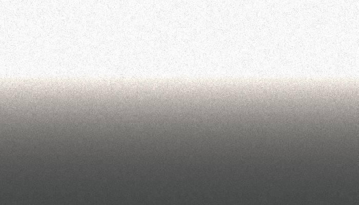 Peugeot – HVV – GRIS LION