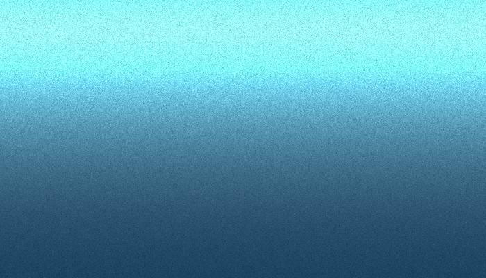 Nissan – RBJ – BLUE