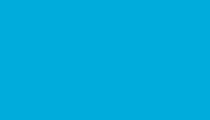 Smart Brabus – NISSAN 646 – LIGHT BLUE TAILOR MADE