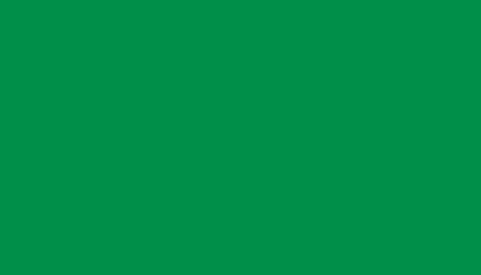 Aston Martin – AST5165D – RACING ZIG GREEN