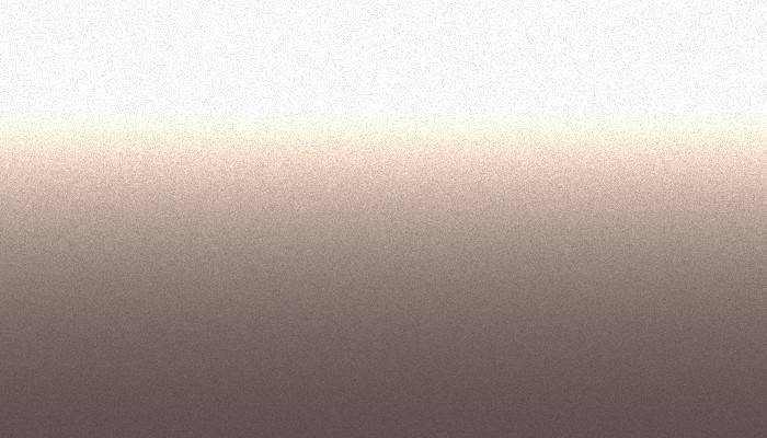 Suzuki – ZVF – CHAMPAGNE PINK