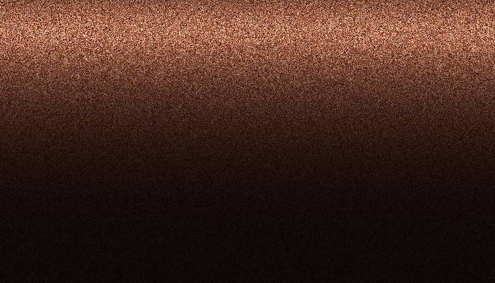 Nissan – CWN – MOCA BROWN