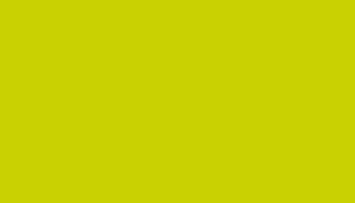 Porsche – L2M8 – ACIDGREEN