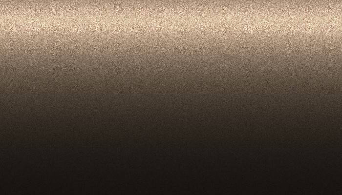 Nissan – CAP – BRONZE