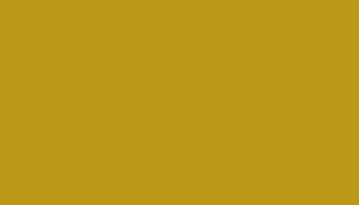 VW Volkswagen – LL1S – GRAPE YELLOW