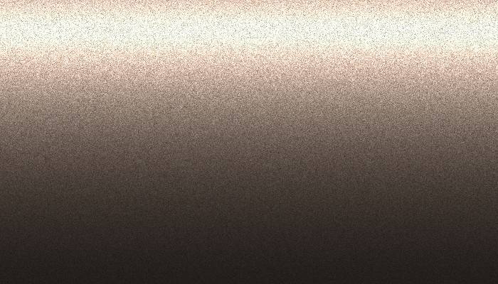 Honda – NH856M – GRAY SILVER