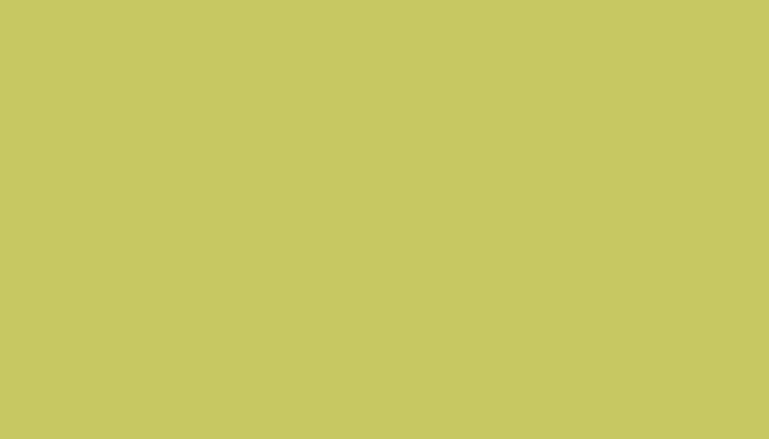 Honda – GY31 – WASABI CREME