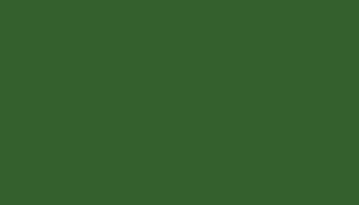 Leyland – E0425GREE – CHANDLERS BUILD GREEN