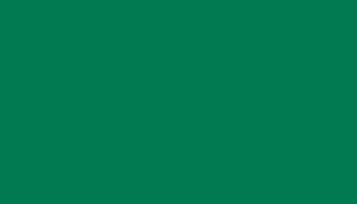 Leyland – E0475GREE – LEWE SPEDITION GREEN