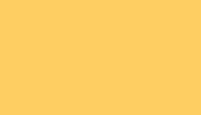 VW Volkswagen –  – SUN FLOWER