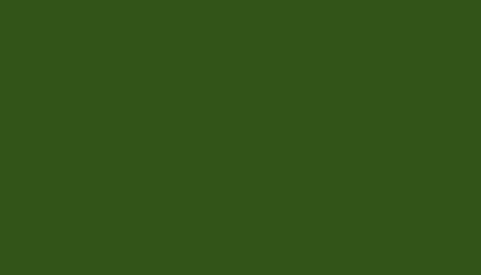 Leyland – E0851GREE – BOERMAN TRANSPORT GROEN