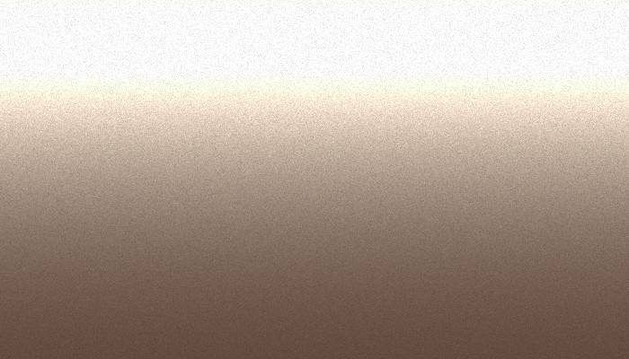 VW Volkswagen – LP2X – PALE COPPER